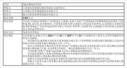 健之佳2024年财报分析 - 医药连锁行业洞察