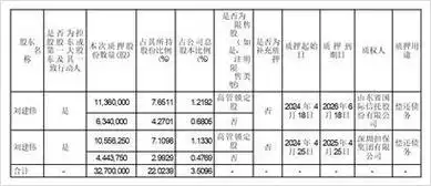 和而泰股票分析 - 2024年投资价值与风险评估