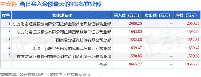 中安科股份有限公司2024年财务分析与估值