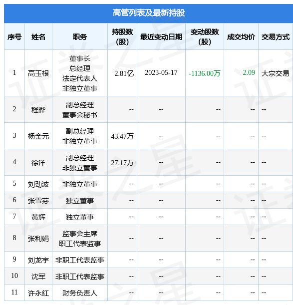 胜利精密股份有限公司2024年财务分析与估值 - 投资指南