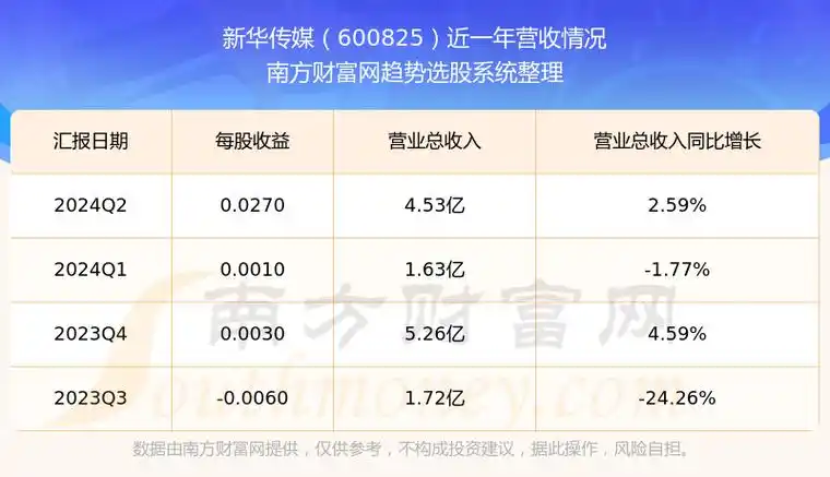 新华传媒（600825）基本情况与财务分析 - 2024年最新报告