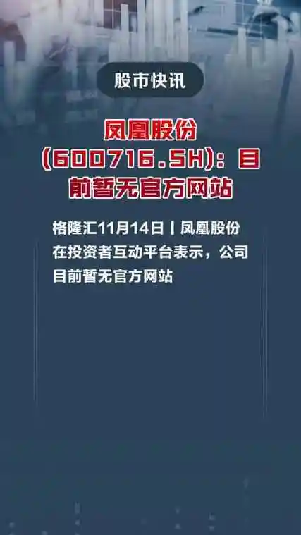 凤凰股份600716分析 - 2024年房地产市场展望
