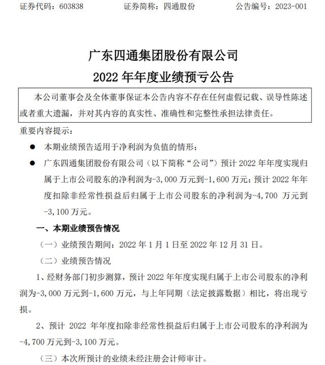 四通股份(603838)财务分析 - 2024年最新报告