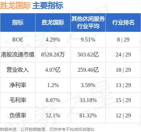 胜龙国际（01182.HK）财务分析及投资建议 - 2024年最新报告