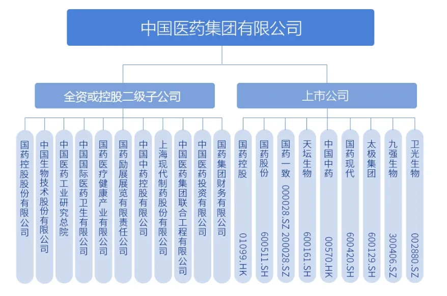 中国医疗集团(08225)业绩分析 - 2024年中期报告