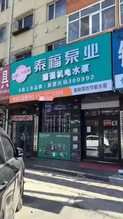 泰福-KY股票分析 - 2024年财务与行业状况详解