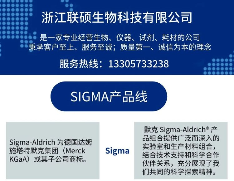 Sigma Lithium股价分析 - 2025年最新投资指南