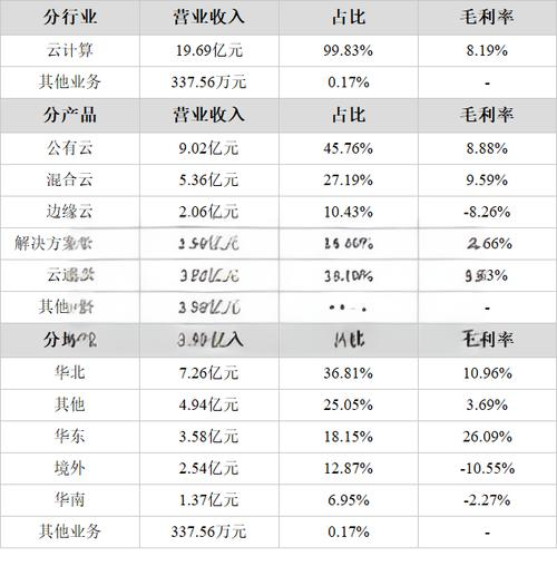 优刻得-W(688158)云计算服务公司分析 - 2024年财务与市场评估