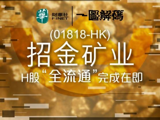 招金矿业（01818）深度分析 - 2024年财务与行业状况