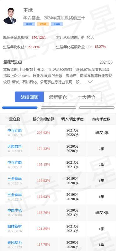 神州泰岳(300002) 上市公司分析 - 2024年财务与行业洞察
