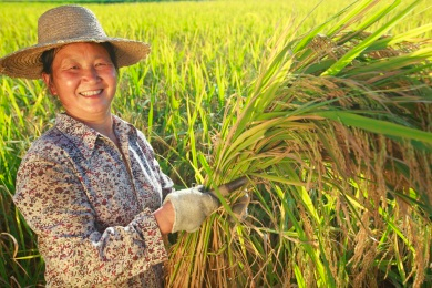 Farmer Bros Co投资分析 - 2024年财务与估值报告