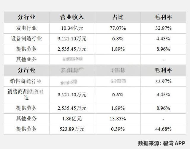 银星能源2024年财报分析 - 新能源行业展望