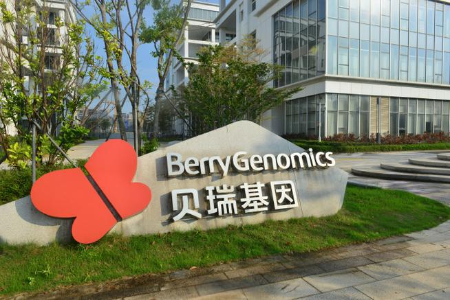 贝瑞基因投资分析 - 2024年财务与行业洞见