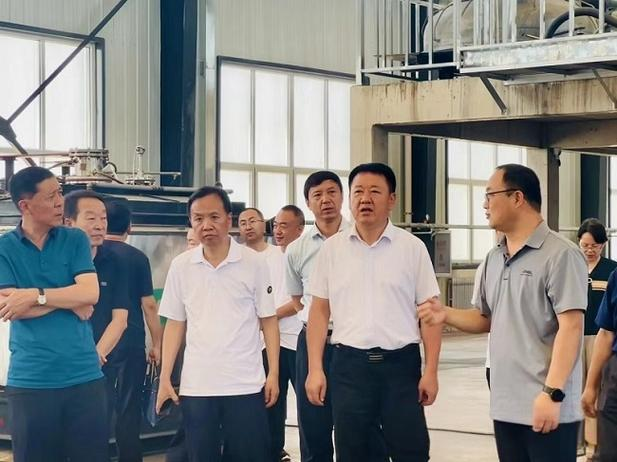 保德国际发展(00372) - 2024年财务分析与投资建议