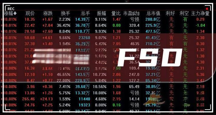 南方两倍做多特斯拉 - 2024年财务分析与估值