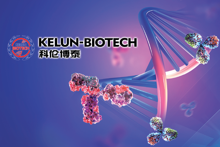 科伦博泰生物-B投资分析 - 2023年财务与行业洞察