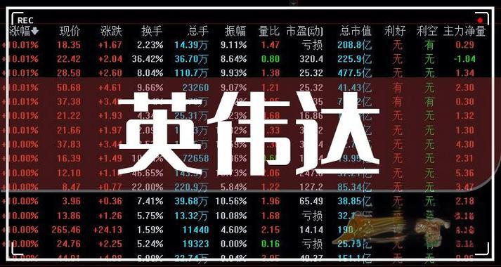 南方两倍做多英伟达 - 高回报潜力分析