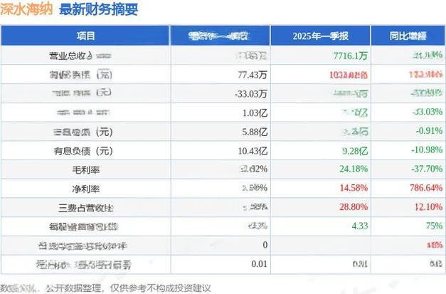 海纳星空科技(08297) - 2024年财务分析与投资建议