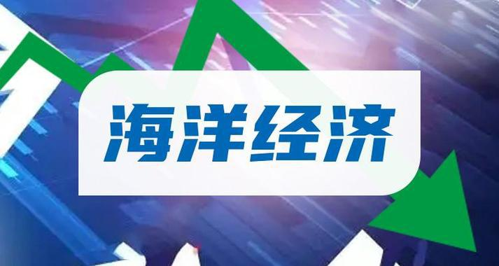 中国海洋发展(08047) - 投资价值与风险分析