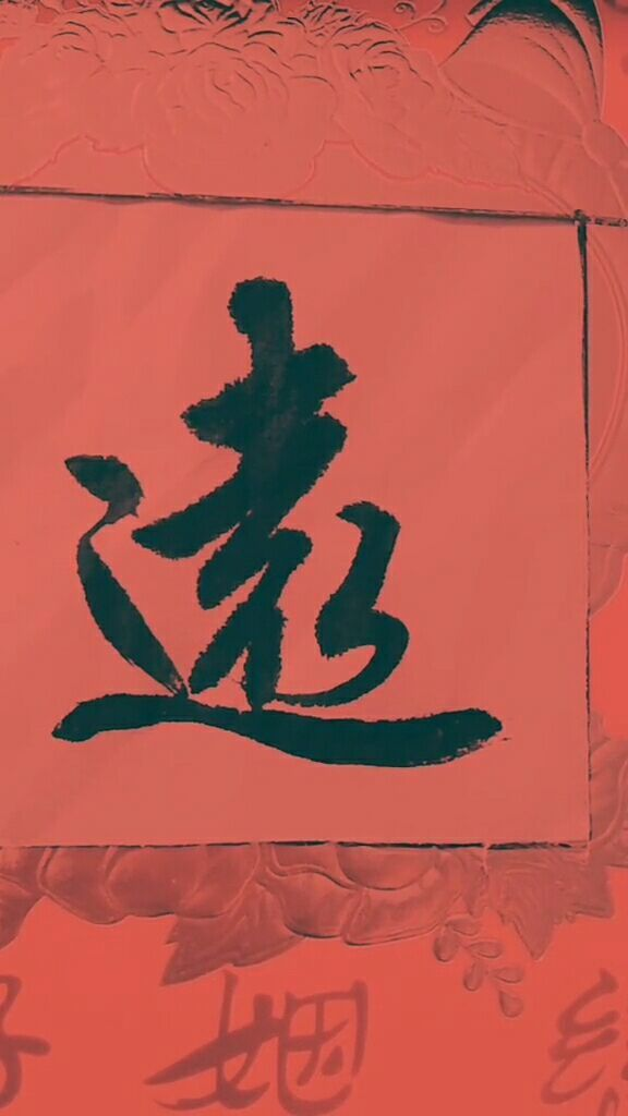 宁波远洋（601022）股票分析 - 2023年最新报告