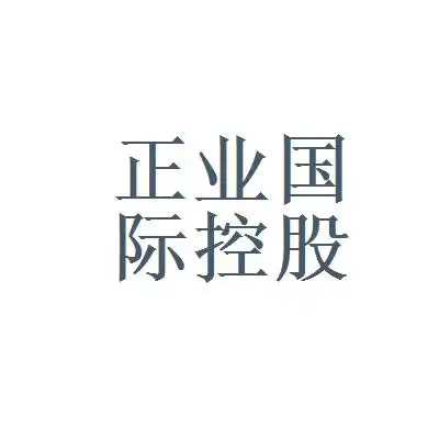 正业国际(03363)投资分析 - 2024年财务与估值