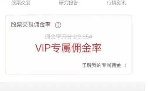 VIP专属佣金通道